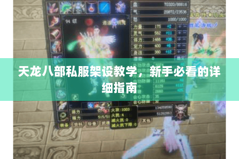 天龙八部私服架设教学，新手必看的详细指南