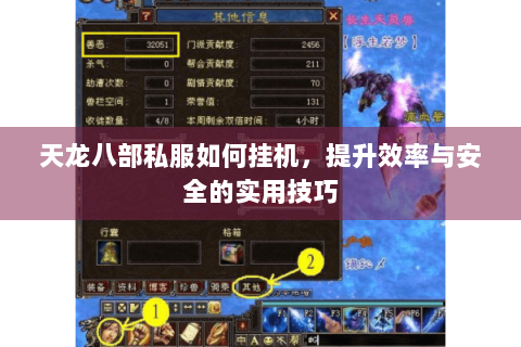 天龙八部私服如何挂机，提升效率与安全的实用技巧