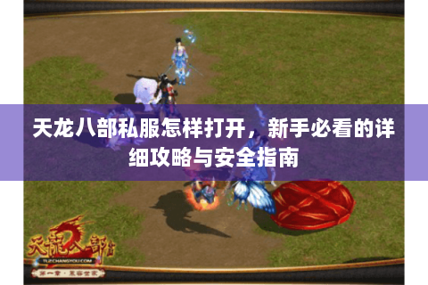 天龙八部私服怎样打开，新手必看的详细攻略与安全指南