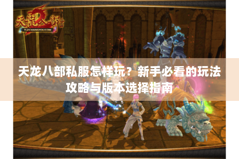 天龙八部私服怎样玩？新手必看的玩法攻略与版本选择指南