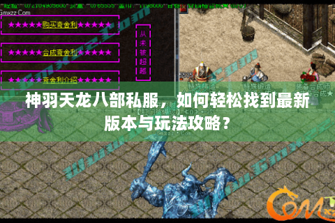 神羽天龙八部私服，如何轻松找到最新版本与玩法攻略？