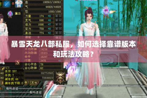 暴雪天龙八部私服，如何选择靠谱版本和玩法攻略？