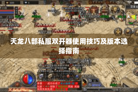 天龙八部私服双开器使用技巧及版本选择指南
