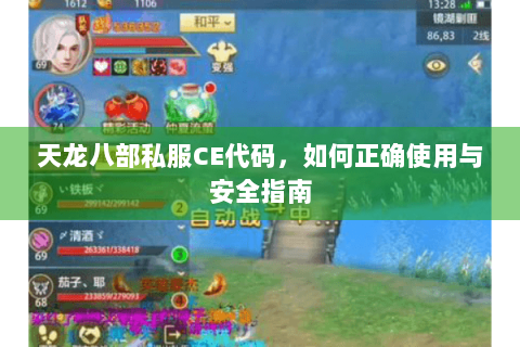 天龙八部私服CE代码，如何正确使用与安全指南