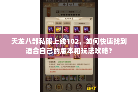 天龙八部私服上线102，如何快速找到适合自己的版本和玩法攻略？