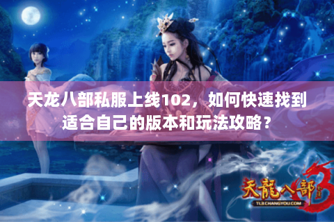 天龙八部私服上线102，如何快速找到适合自己的版本和玩法攻略？