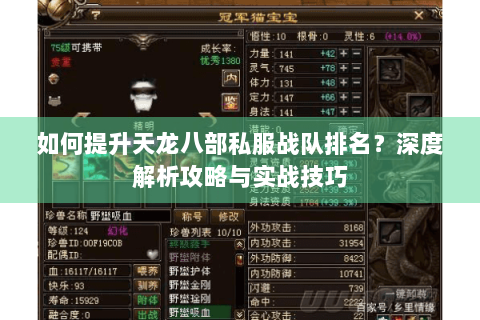 如何提升天龙八部私服战队排名？深度解析攻略与实战技巧