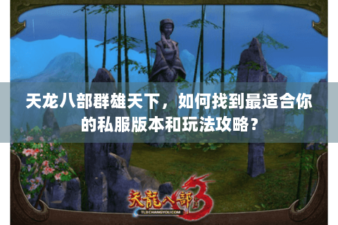 天龙八部群雄天下，如何找到最适合你的私服版本和玩法攻略？