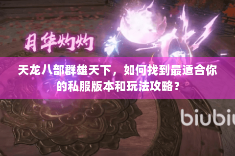天龙八部群雄天下，如何找到最适合你的私服版本和玩法攻略？