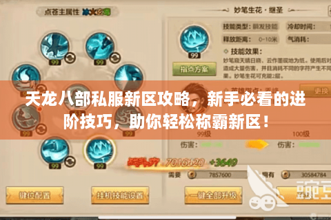 天龙八部私服新区攻略，新手必看的进阶技巧，助你轻松称霸新区！