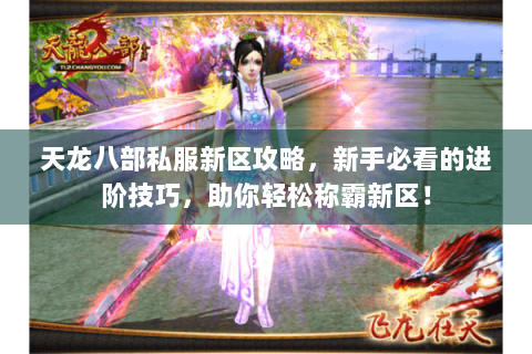 天龙八部私服新区攻略，新手必看的进阶技巧，助你轻松称霸新区！