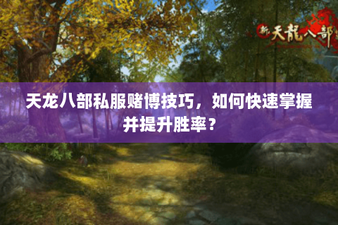 天龙八部私服赌博技巧，如何快速掌握并提升胜率？