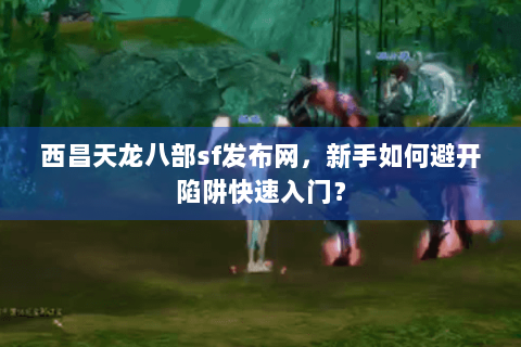 西昌天龙八部sf发布网，新手如何避开陷阱快速入门？