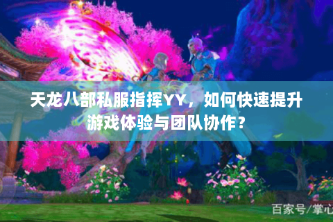 天龙八部私服指挥YY，如何快速提升游戏体验与团队协作？