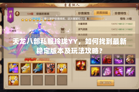天龙八部私服玲珑YY，如何找到最新稳定版本及玩法攻略？