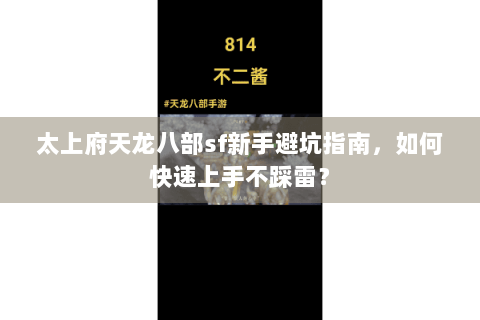 太上府天龙八部sf新手避坑指南，如何快速上手不踩雷？