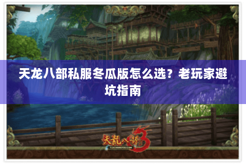 天龙八部私服冬瓜版怎么选？老玩家避坑指南