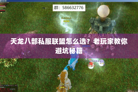 天龙八部私服联盟怎么选？老玩家教你避坑秘籍