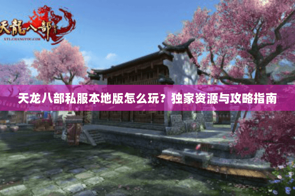 天龙八部私服本地版怎么玩？独家资源与攻略指南