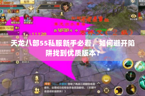 天龙八部55私服新手必看，如何避开陷阱找到优质版本？