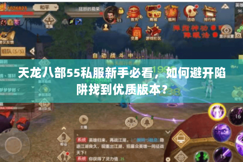 天龙八部55私服新手必看，如何避开陷阱找到优质版本？