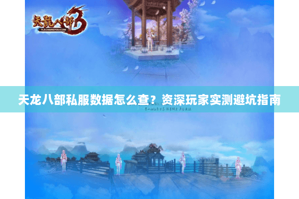 天龙八部私服数据怎么查？资深玩家实测避坑指南