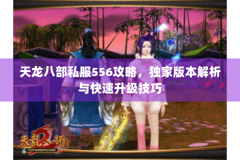 天龙八部私服556攻略，独家版本解析与快速升级技巧