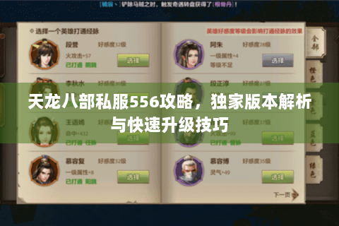 天龙八部私服556攻略，独家版本解析与快速升级技巧