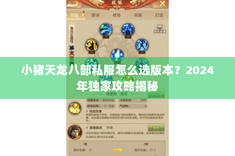 小猪天龙八部私服怎么选版本？2024年独家攻略揭秘