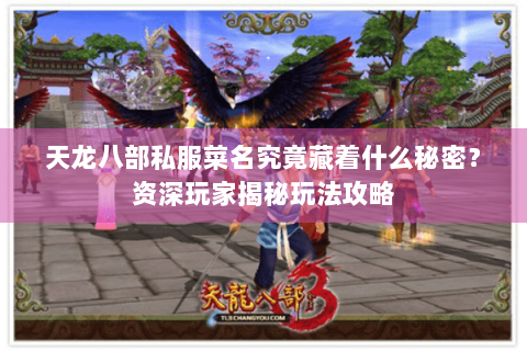 天龙八部私服菜名究竟藏着什么秘密？资深玩家揭秘玩法攻略