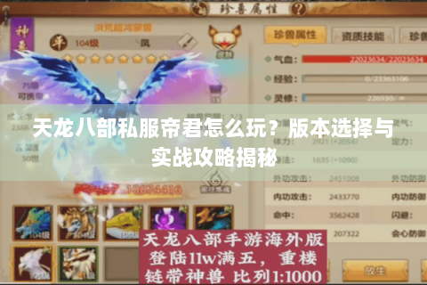天龙八部私服帝君怎么玩？版本选择与实战攻略揭秘