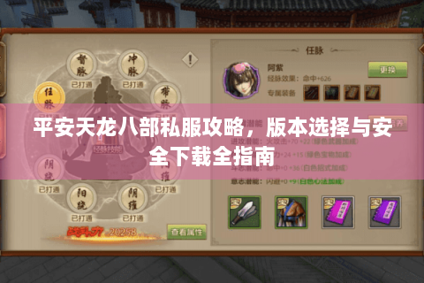 平安天龙八部私服攻略，版本选择与安全下载全指南