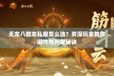 天龙八部龙私服怎么选？资深玩家教你避坑与升级秘诀