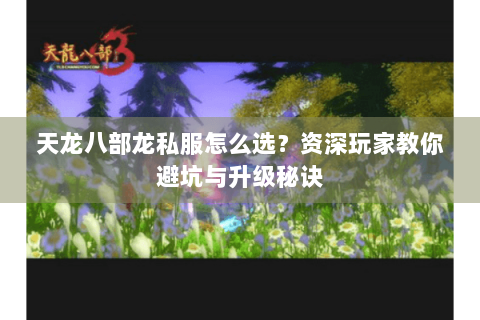 天龙八部龙私服怎么选？资深玩家教你避坑与升级秘诀
