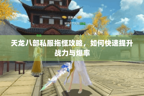 天龙八部私服拖怪攻略，如何快速提升战力与爆率