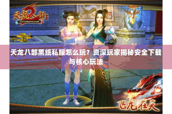 天龙八部黑纸私服怎么玩？资深玩家揭秘安全下载与核心玩法