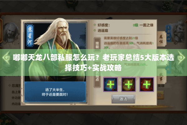 嘟嘟天龙八部私服怎么玩？老玩家总结5大版本选择技巧+实战攻略