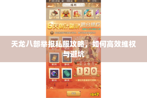 天龙八部举报私服攻略，如何高效维权与避坑