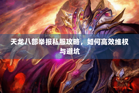 天龙八部举报私服攻略，如何高效维权与避坑