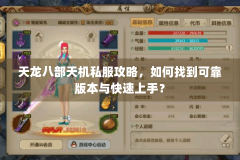 天龙八部天机私服攻略，如何找到可靠版本与快速上手？