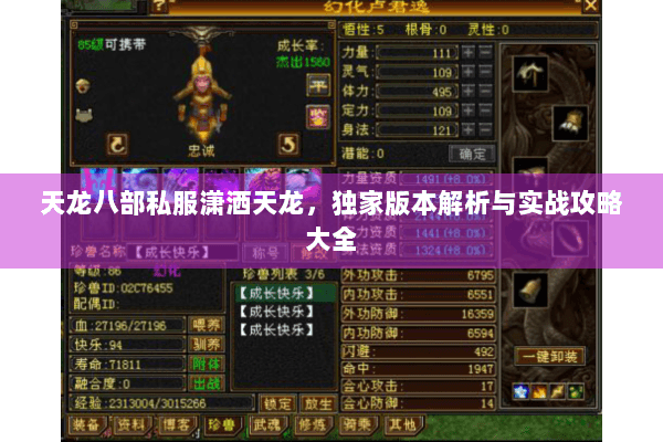 天龙八部私服潇洒天龙，独家版本解析与实战攻略大全