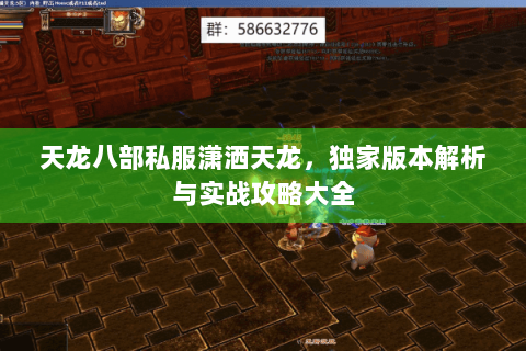 天龙八部私服潇洒天龙，独家版本解析与实战攻略大全