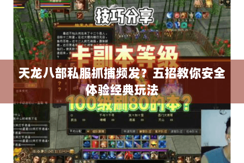 天龙八部私服抓捕频发？五招教你安全体验经典玩法