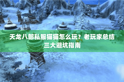 天龙八部私服猫猫怎么玩？老玩家总结三大避坑指南