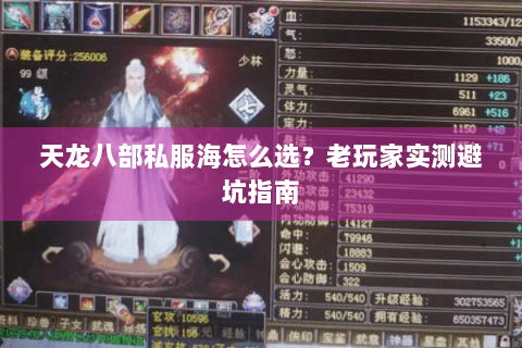 天龙八部私服海怎么选？老玩家实测避坑指南