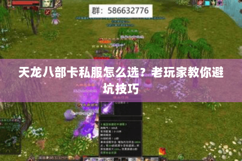天龙八部卡私服怎么选？老玩家教你避坑技巧
