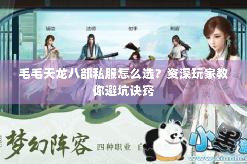 毛毛天龙八部私服怎么选？资深玩家教你避坑诀窍