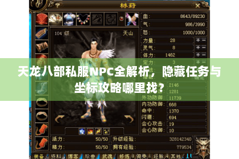 天龙八部私服NPC全解析，隐藏任务与坐标攻略哪里找？