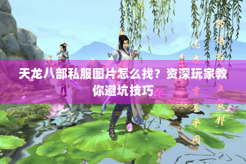 天龙八部私服图片怎么找？资深玩家教你避坑技巧