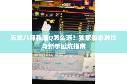 天龙八部私服Q怎么选？独家版本对比与新手避坑指南
